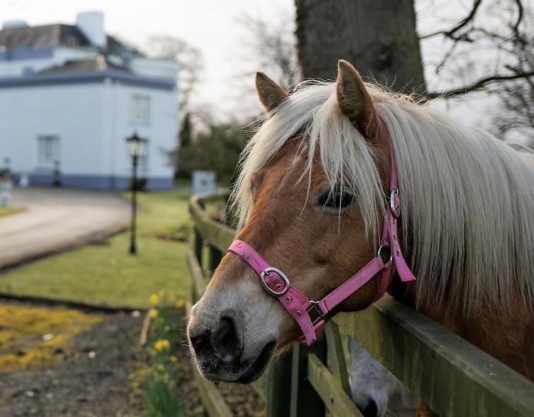 Leixlip Manor Hotel ภายนอก รูปภาพ